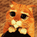 02009fs4-04c1-346x346.gif