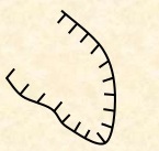 02009fsd-f444.jpg