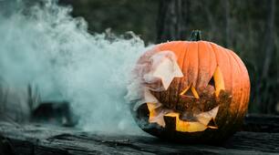 We witch you a HAPPY HALLOWEEN!