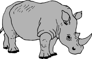 02009gvq-013f-300x191.png