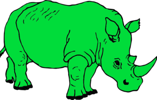 02009gvs-0c24-300x191.png