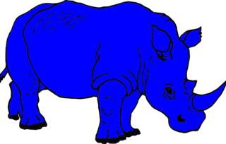 02009gvv-776d-300x191.png