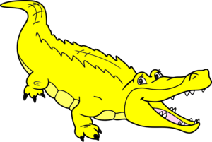 02009h3c-9a54-300x201.png