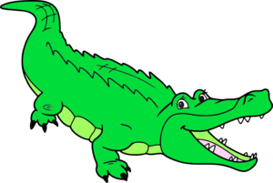 02009h3h-a698-300x201.png