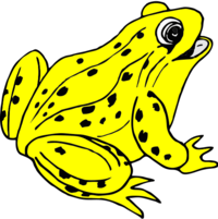02009h5q-841b-320x321.png