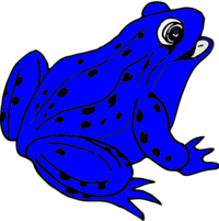 02009h5r-33d7-320x321.png