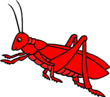 02009hbe-9fee-300x263.png