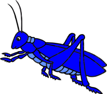 02009hbi-4cf7-300x263.png