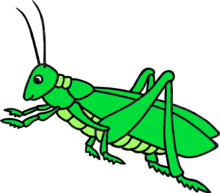 02009hbl-d6d8-300x263.png