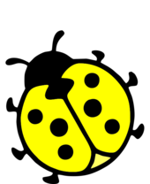 02009hcq-cfbe-300x367.png