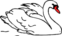 02009heu-69ee-300x179.png