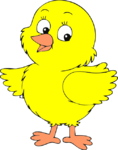 02009hkw-9bf3-300x382.png