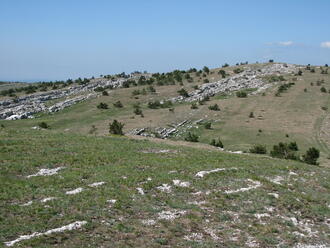 02009hox-1ca2-248x186.jpg