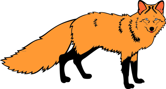 02009htq-0497-373x200.png
