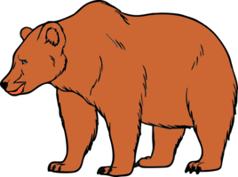 02009hyt-c9f2-268x200.png