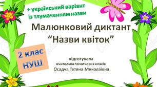 Малюнковий диктант "Назви квіток", 2-4 клас