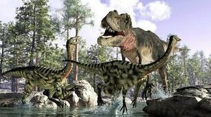 Перевернуте навчання/ Урок "Where did dinosaurs live?"