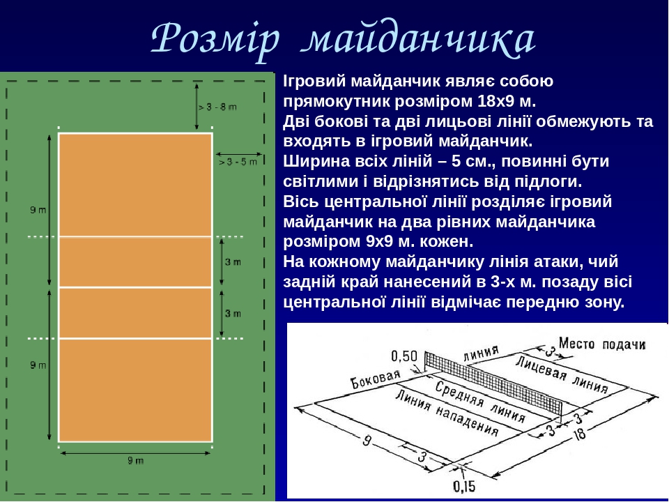 Размеры волейбольной площадки стандарт в зале