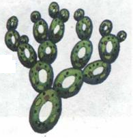 02009k00-c41c.png