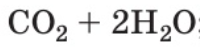 02009k2s-9085.png