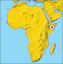 02009kvi-4941-219x224.png