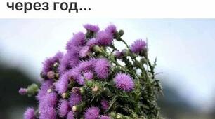 Уходит не лето...