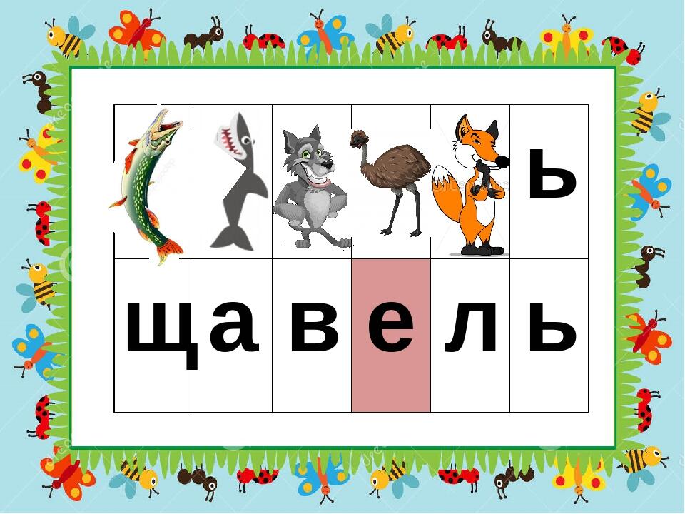ь щ а в е л ь