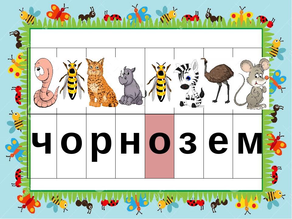 ч о р н о з е м