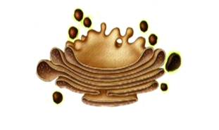 02009oqp-99fc.png