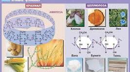 Урок: " Вуглеводи. Глюкоза"