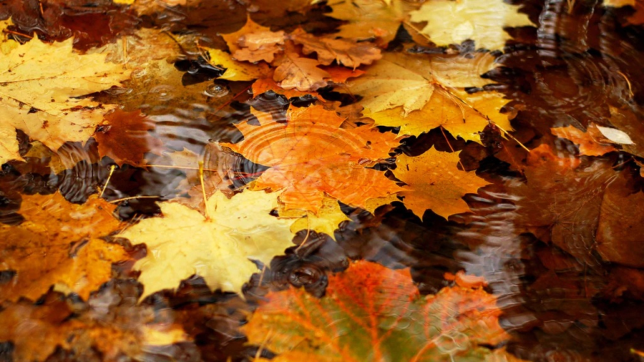 02009ph7-b9cb-940x529.png