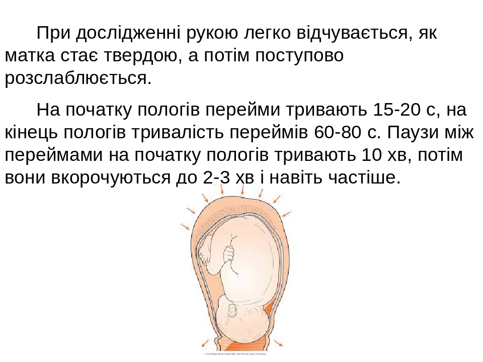 Как раскрывается матка при родах картинки