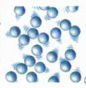 02009qsf-3dfd-266x273.png
