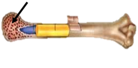 02009rcs-0ff2-275x137.png