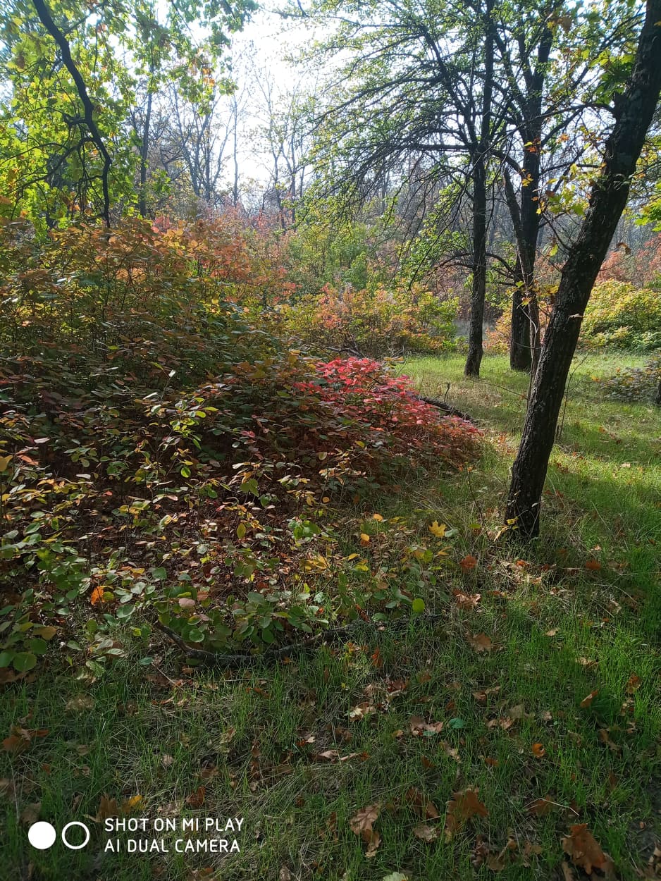 02009rvg-93f7.jpg