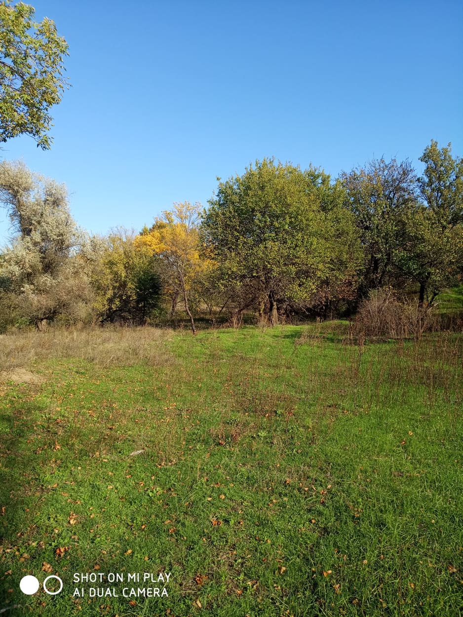 02009rvh-47a7.jpg