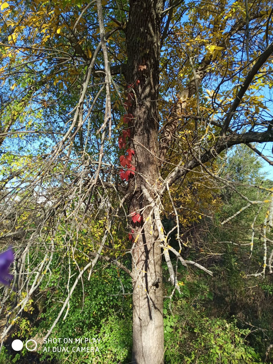 02009rvi-0c23.jpg