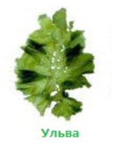 02009s1t-f9a6-164x210.png