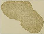 02009s8v-78ac.png
