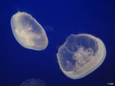 02009s9e-f104-168x126.png