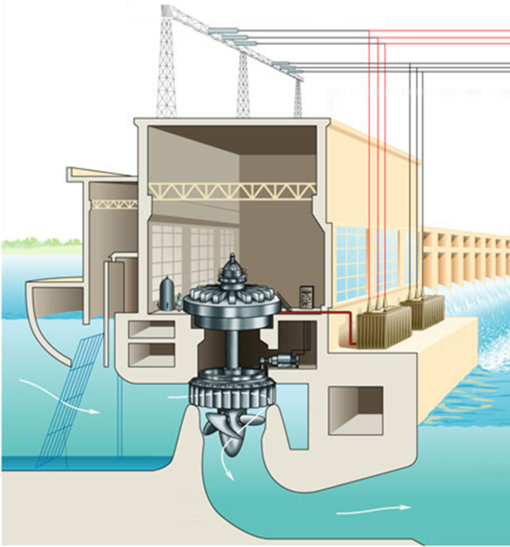 02009u55-705c-510x547.png