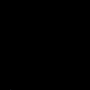 02009u7t-d385.gif