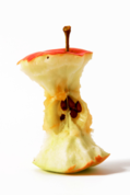 02009v2g-bb83-119x178.png