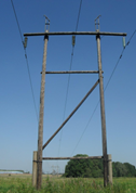 02009v2r-3ed4-312x441.png