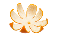 02009v3e-c621-204x136.png