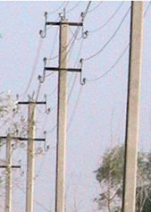 02009v9p-50ba-291x408.png
