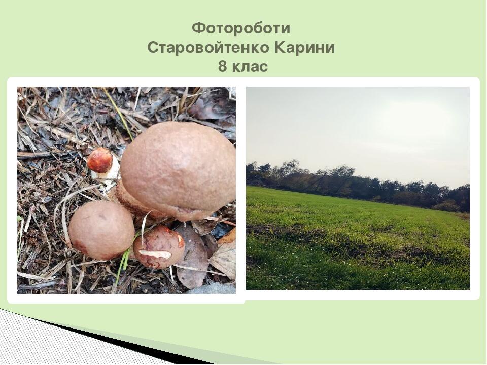 Фотороботи Старовойтенко Карини 8 клас