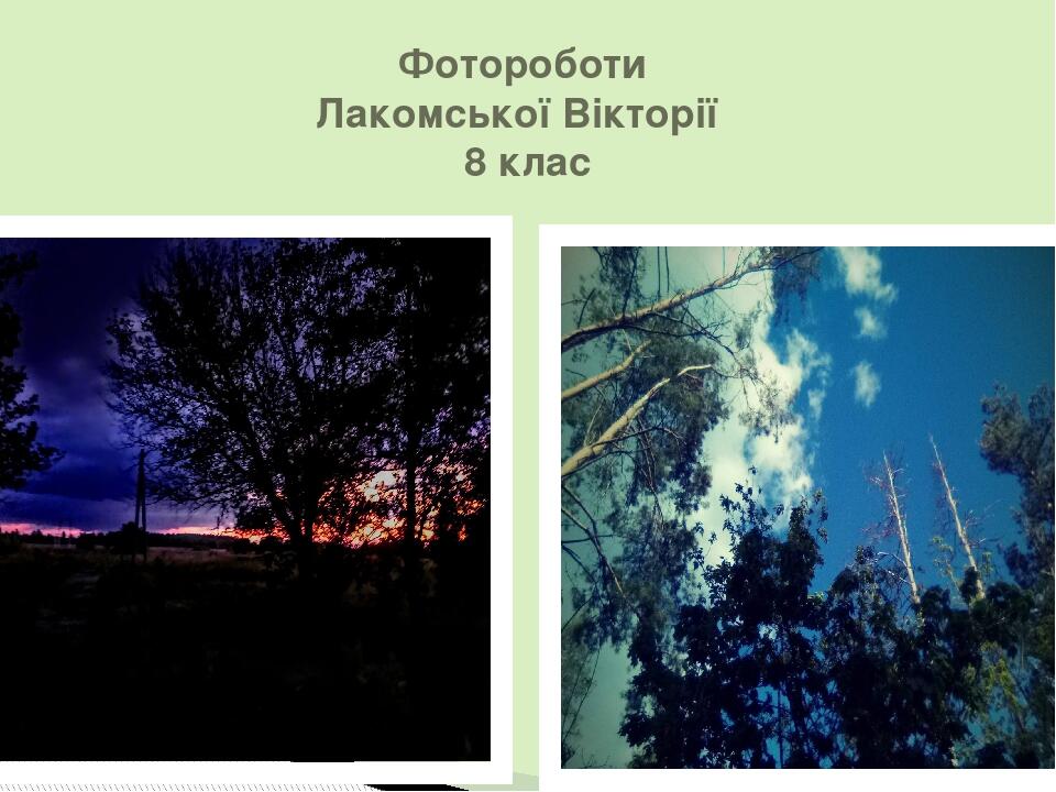 Фотороботи Лакомської Вікторії 8 клас