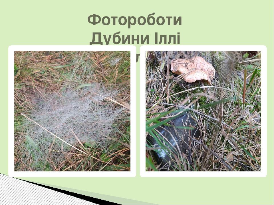 Фотороботи Дубини Іллі 9 клас