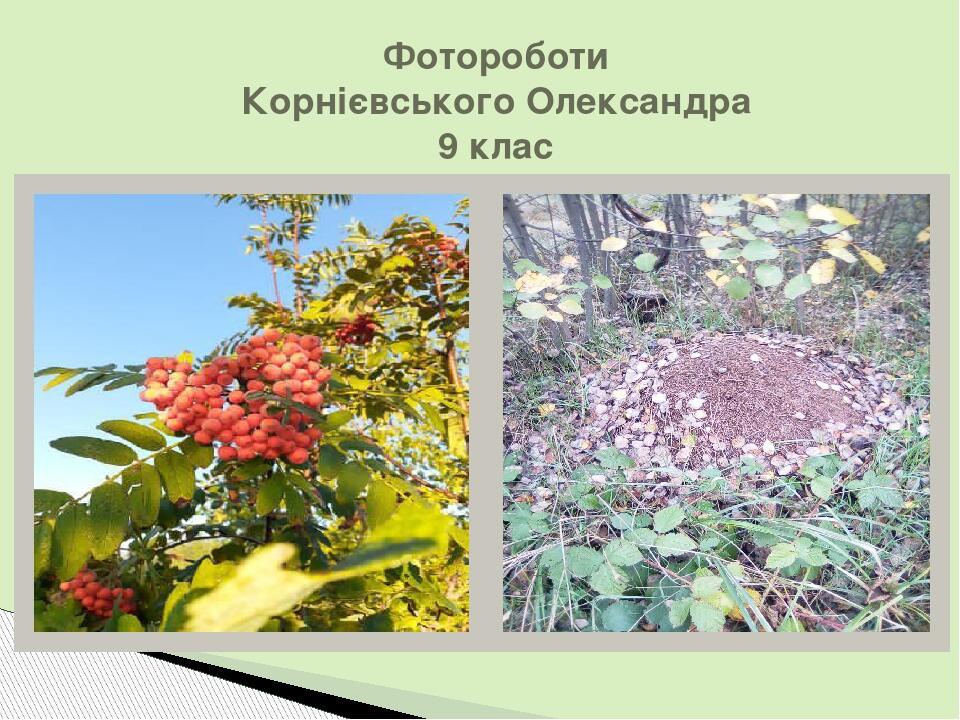 Фотороботи Корнієвського Олександра 9 клас